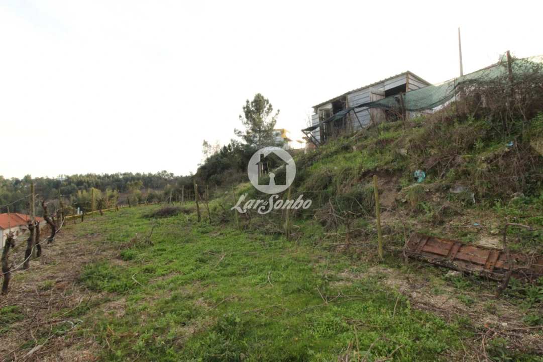 Terreno Agricola ou Rústico para Venda em Basto (São Clemente) Foto 4