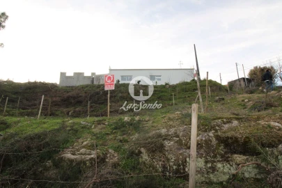 Terreno Agricola ou Rústico para Venda em Basto (São Clemente)