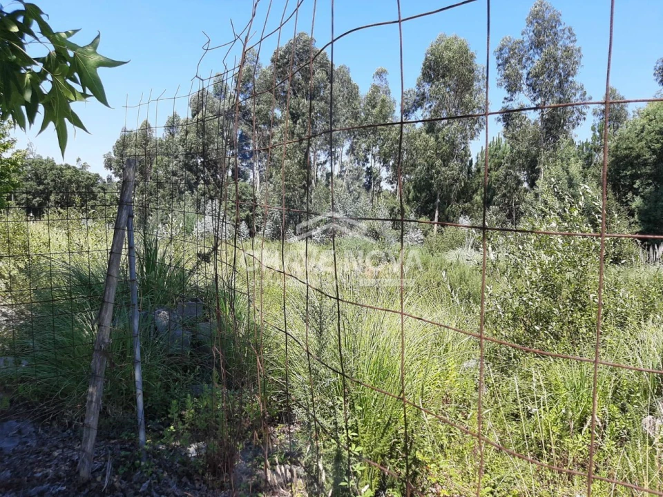 Terreno para Venda em Baguim do Monte (Rio Tinto) Foto 2