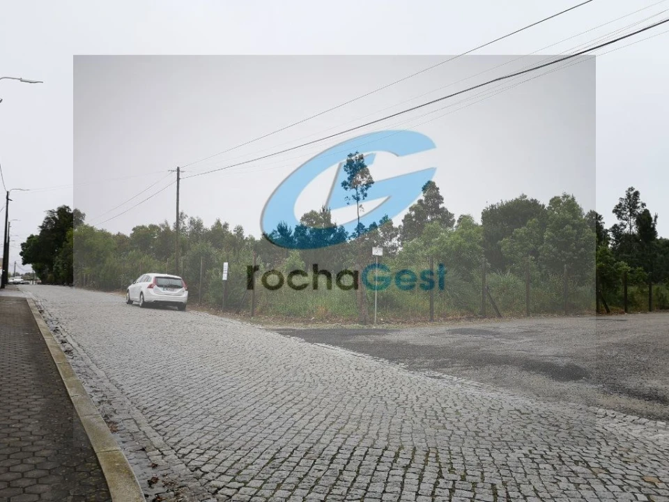 Terreno Comércio / Armazém para Venda em São Felix da Marinha Foto 3