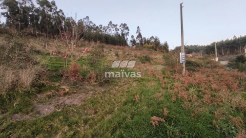Terreno Agricola ou Rústico para Venda em Refoios do Lima