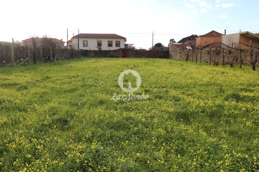 Terreno P/ Prédio para Venda em Madalena Foto 4
