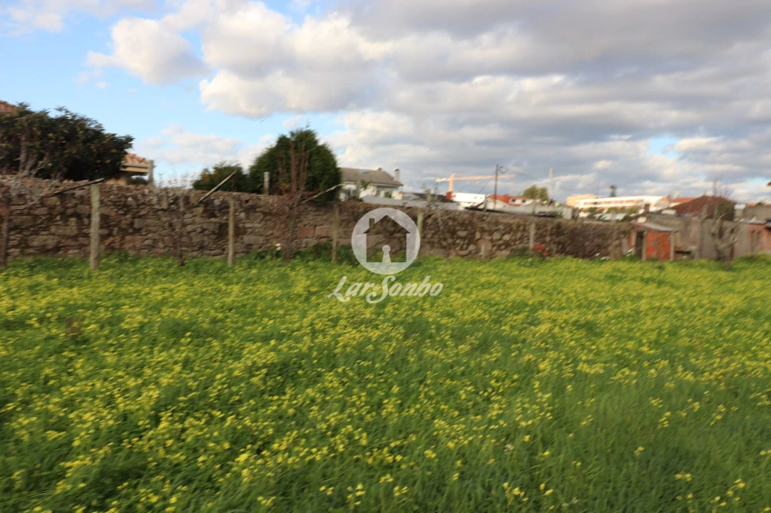 Terreno P/ Prédio para Venda em Madalena Foto 5