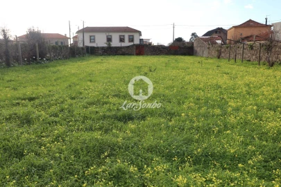 Terreno P/ Prédio para Venda em Madalena