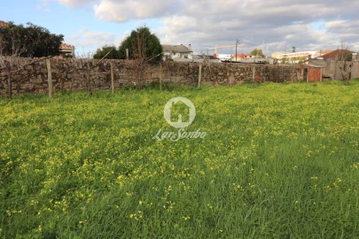 Terreno P/ Prédio para Venda em Madalena