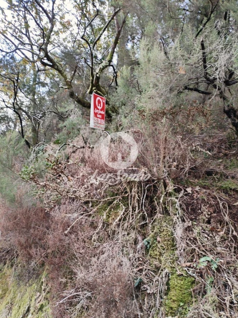 Terreno Agricola ou Rústico para Venda em Vilar da Veiga