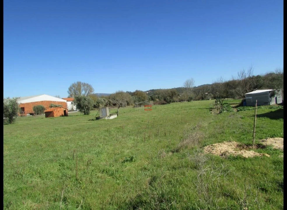 Terreno Agricola ou Rústico para Venda em Freixianda, Ribeira do Fárrio e Formigais Foto 1
