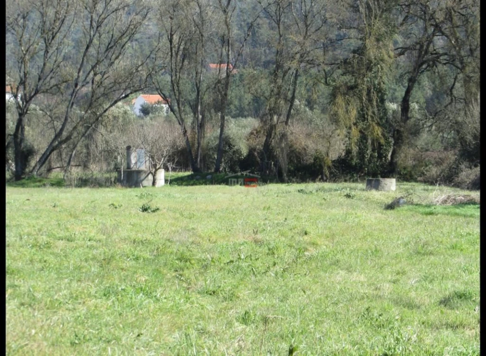 Terreno Agricola ou Rústico para Venda em Freixianda, Ribeira do Fárrio e Formigais Foto 3