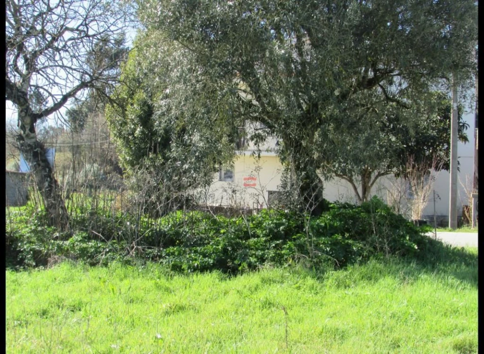 Terreno Agricola ou Rústico para Venda em Freixianda, Ribeira do Fárrio e Formigais Foto 4