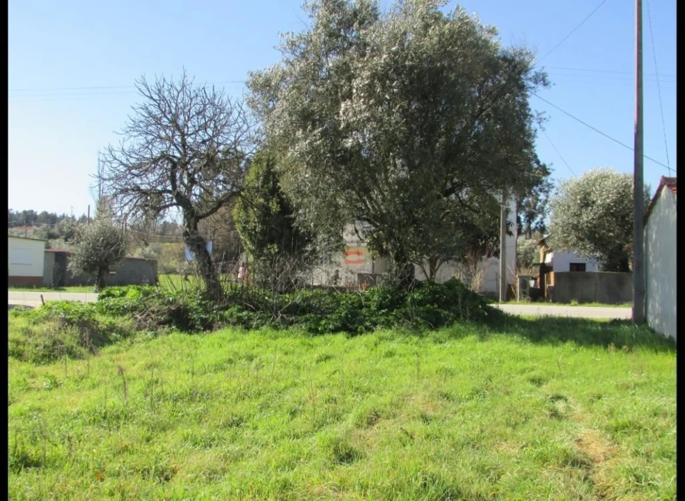 Terreno Agricola ou Rústico para Venda em Freixianda, Ribeira do Fárrio e Formigais Foto 5