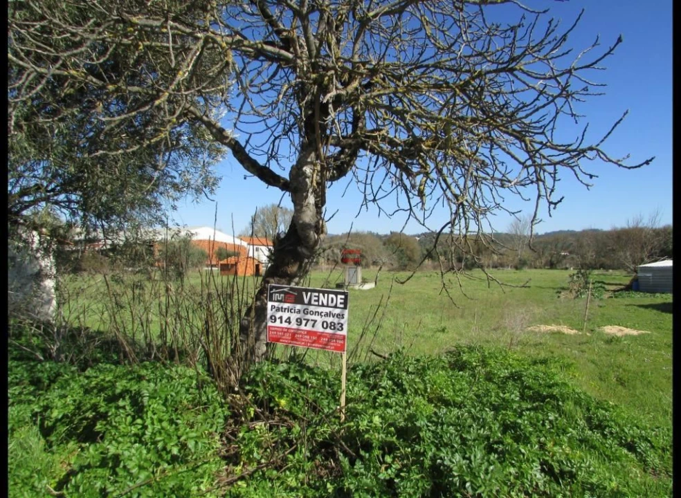 Terreno Agricola ou Rústico para Venda em Freixianda, Ribeira do Fárrio e Formigais Foto 6