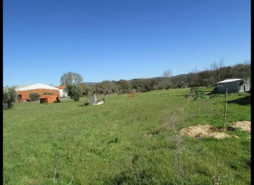 Terreno Agricola ou Rústico para Venda em Freixianda, Ribeira do Fárrio e Formigais