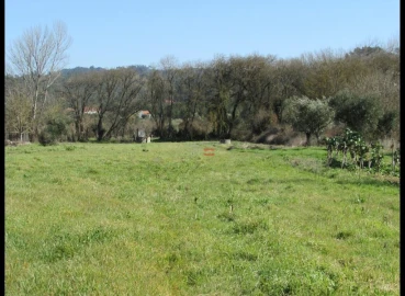 Terreno Agricola ou Rústico para Venda em Freixianda, Ribeira do Fárrio e Formigais