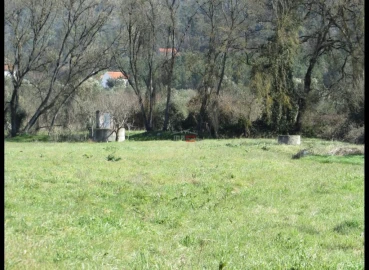 Terreno Agricola ou Rústico para Venda em Freixianda, Ribeira do Fárrio e Formigais