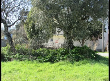 Terreno Agricola ou Rústico para Venda em Freixianda, Ribeira do Fárrio e Formigais