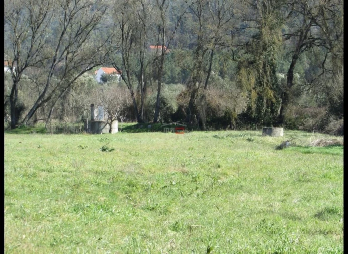 Terreno Agricola ou Rústico para Venda em Freixianda, Ribeira do Fárrio e Formigais Foto 3
