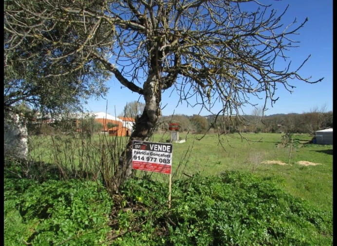 Terreno Agricola ou Rústico para Venda em Freixianda, Ribeira do Fárrio e Formigais Foto 6
