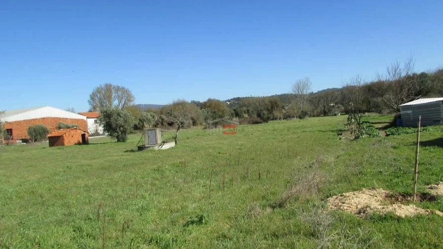 Terreno Agricola ou Rústico para Venda em Freixianda, Ribeira do Fárrio e Formigais