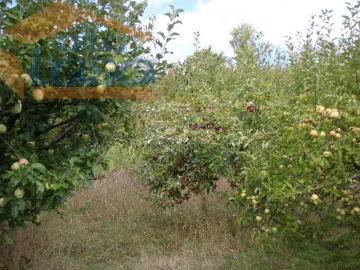 Quinta T6 para Venda em Resende