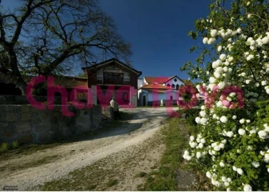 Quinta T6 para Venda em Santa Cruz da Trapa e São Cristóvão de Lafões