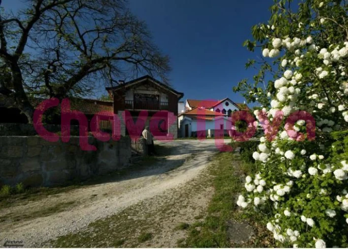 Quinta T6 para Venda em Santa Cruz da Trapa e São Cristóvão de Lafões Foto 5