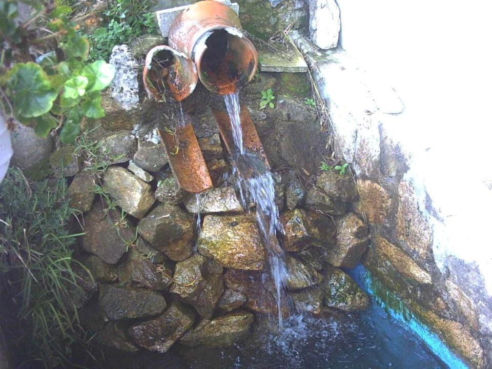 Quinta T3 para Venda em Portela Foto 5