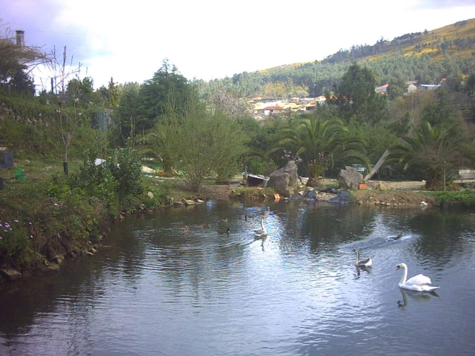 Quinta T3 para Venda em Portela Foto 12