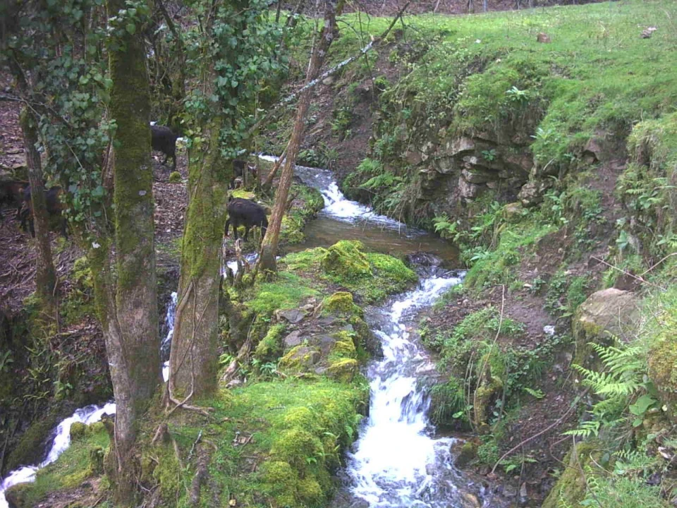 Quinta T3 para Venda em Portela Foto 15