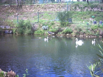 Quinta T3 para Venda em Portela