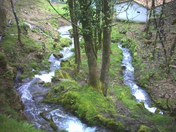 Quinta T3 para Venda em Portela