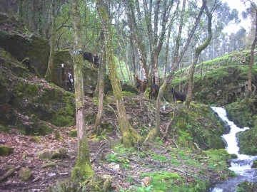 Quinta T3 para Venda em Portela