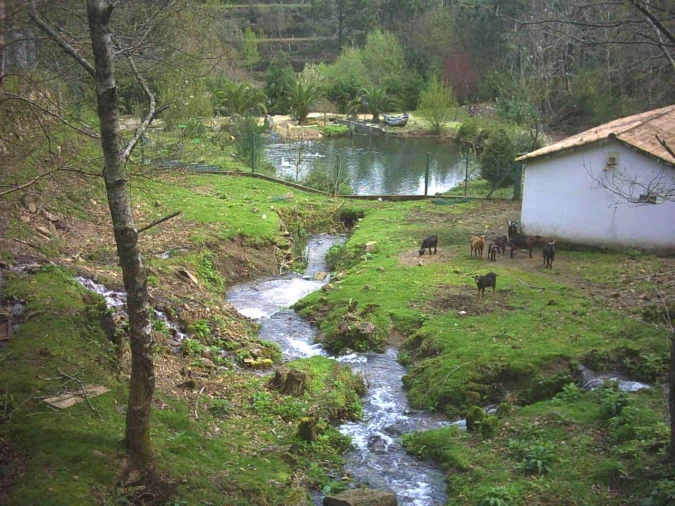 Quinta T3 para Venda em Portela Foto 13