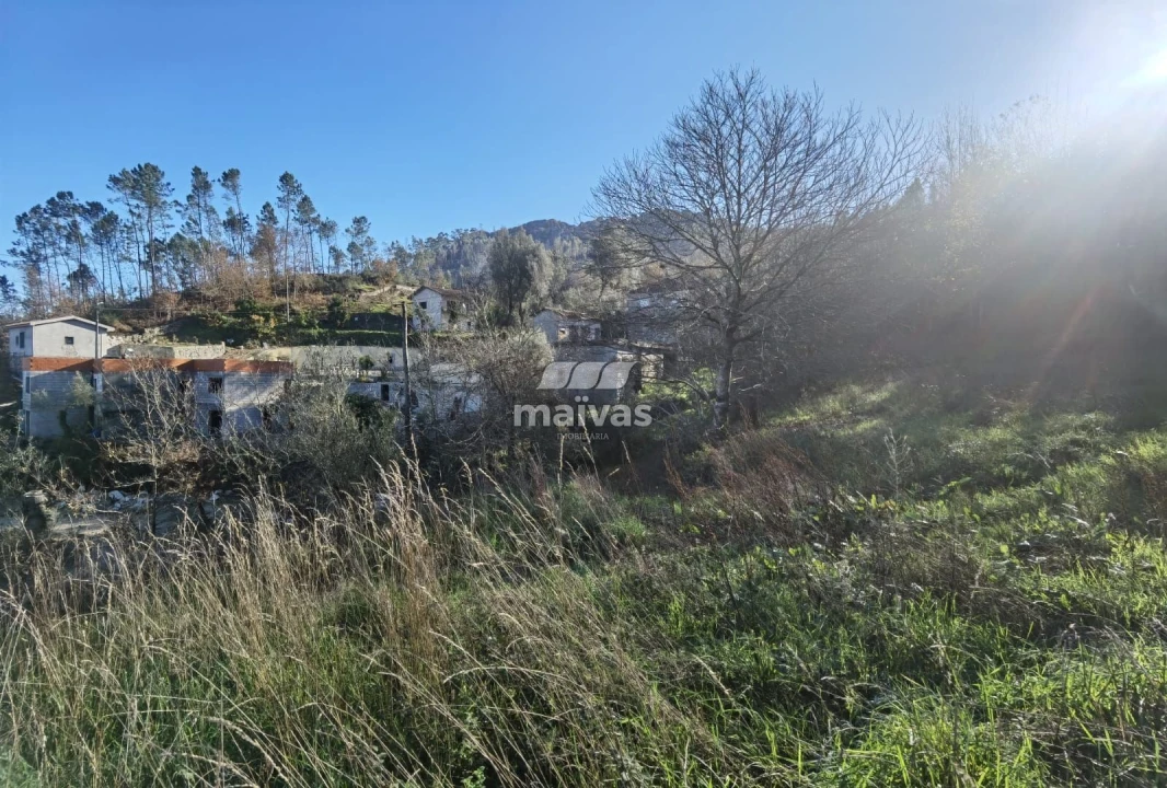 Terreno Misto para Venda em Sobradelo da Goma Foto 21