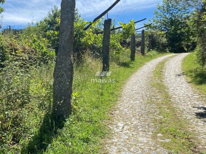 Terreno Misto para Venda em Sobradelo da Goma Foto 10