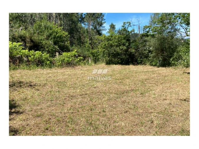 Terreno Misto para Venda em Sobradelo da Goma Foto 11