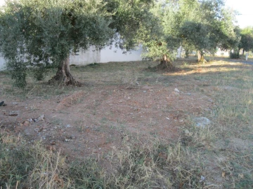 Terreno para Venda em São João Baptista