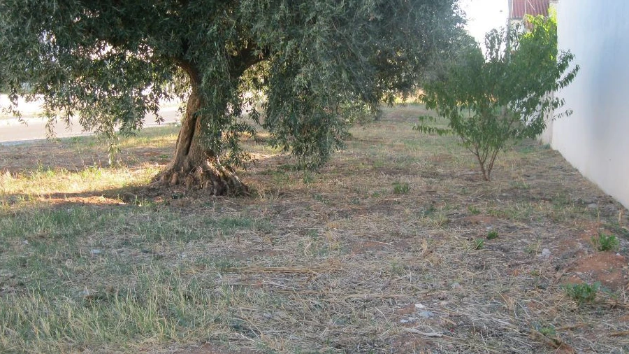Terreno para Venda em São João Baptista
