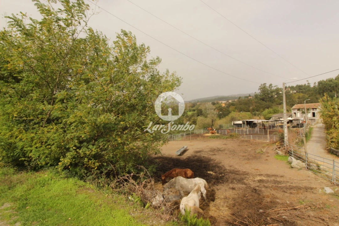 Quinta T5 para Venda em São Gens Foto 6