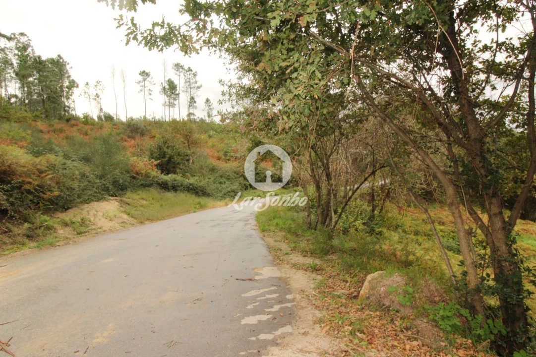 Terreno Agricola ou Rústico para Venda em Agilde Foto 5