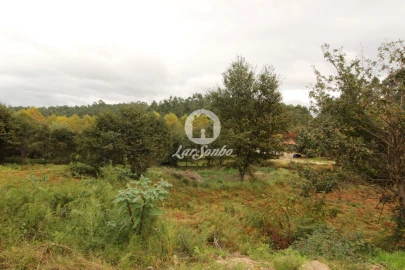 Terreno Agricola ou Rústico para Venda em Agilde