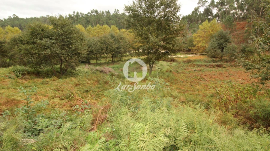 Terreno Agricola ou Rústico para Venda em Agilde