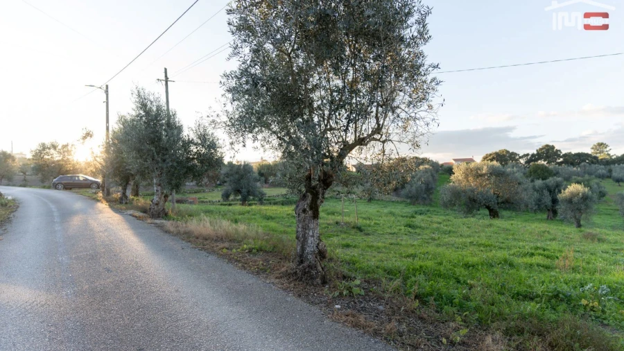 Terreno Agricola ou Rústico para Venda em Atouguia
