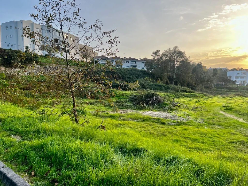 Terreno para Venda em Amarante (São Gonçalo), Madalena, Cepelos e Gatão Foto 5