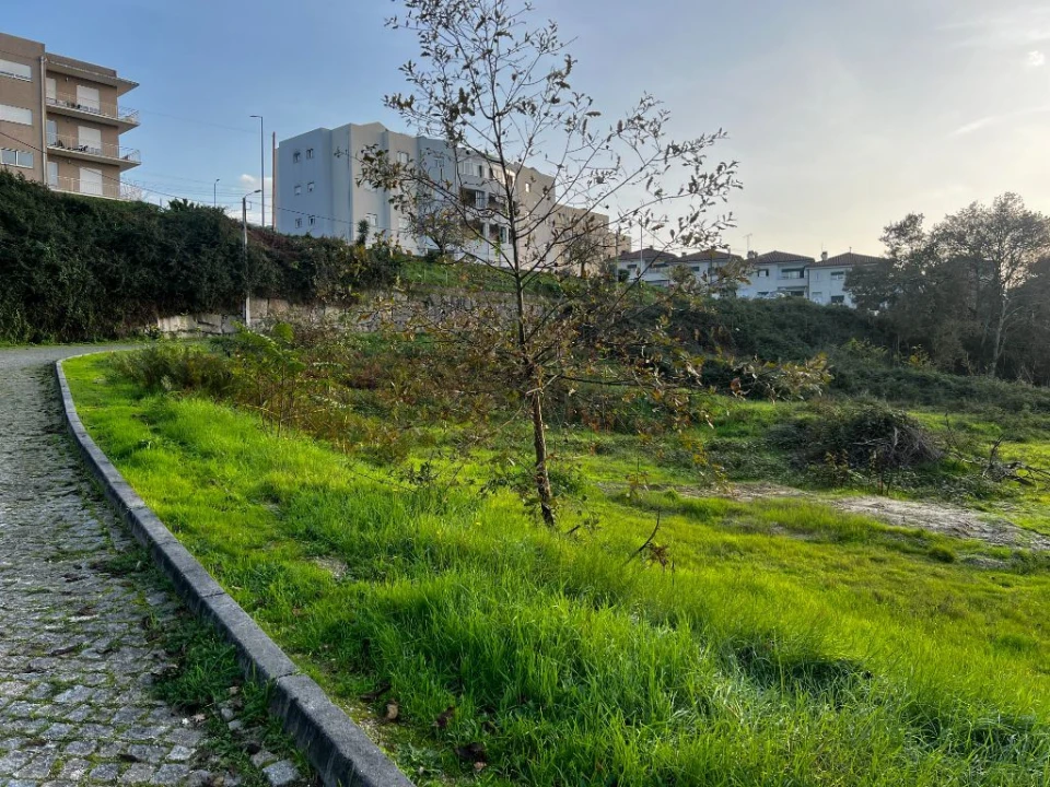 Terreno para Venda em Amarante (São Gonçalo), Madalena, Cepelos e Gatão Foto 6