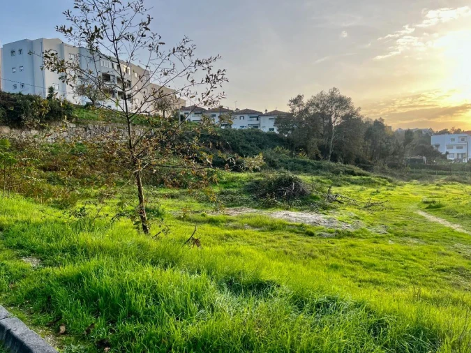 Terreno para Venda em Amarante (São Gonçalo), Madalena, Cepelos e Gatão Foto 5