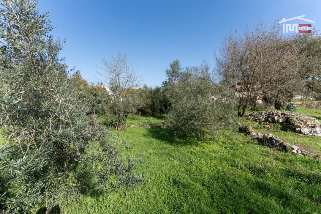 Terreno para Venda em São Mamede Foto 8
