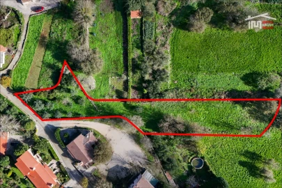 Terreno para Venda em São Mamede
