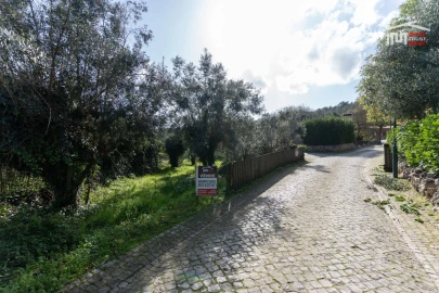 Terreno para Venda em São Mamede