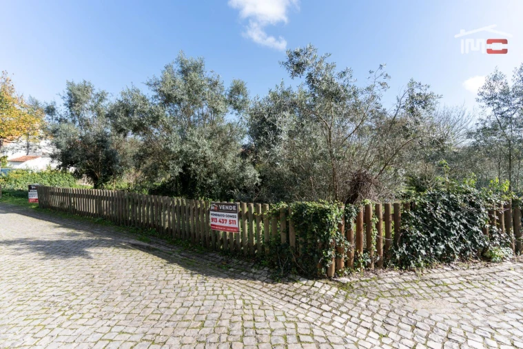 Terreno para Venda em São Mamede Foto 2