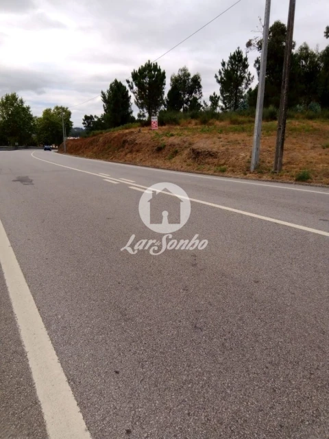 Terreno Agricola ou Rústico para Venda em Travanca